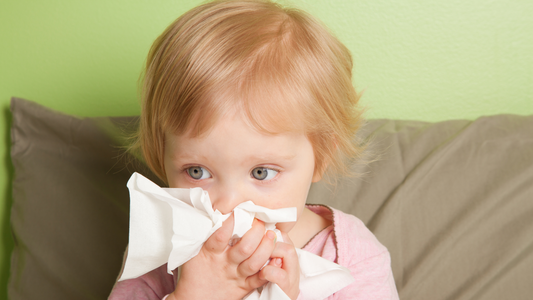 The E3 project creates globally competitive solutions to prevent the spread of new infectious diseases