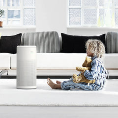 Lifa Air Clean Home Air Purifier